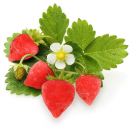 CUBE-FresherThanFresh-Strawberries