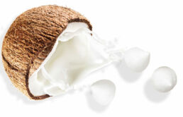 Coconut-Milk-Pellets-Black-Clean-Cropped